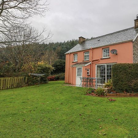 Pen Y Bryn Villa Llanafan Exterior photo